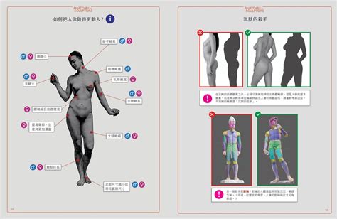 女性人體|3D 人體解剖圖庫 